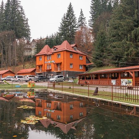 Vila Bradul Лаку Рошу Екстериор снимка
