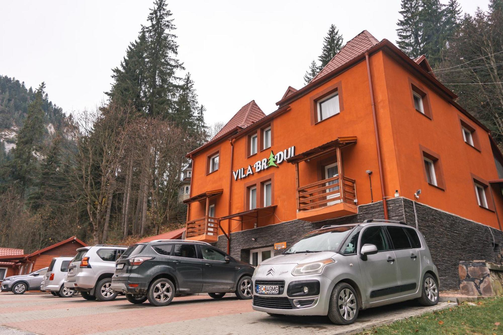 Vila Bradul Лаку Рошу Екстериор снимка