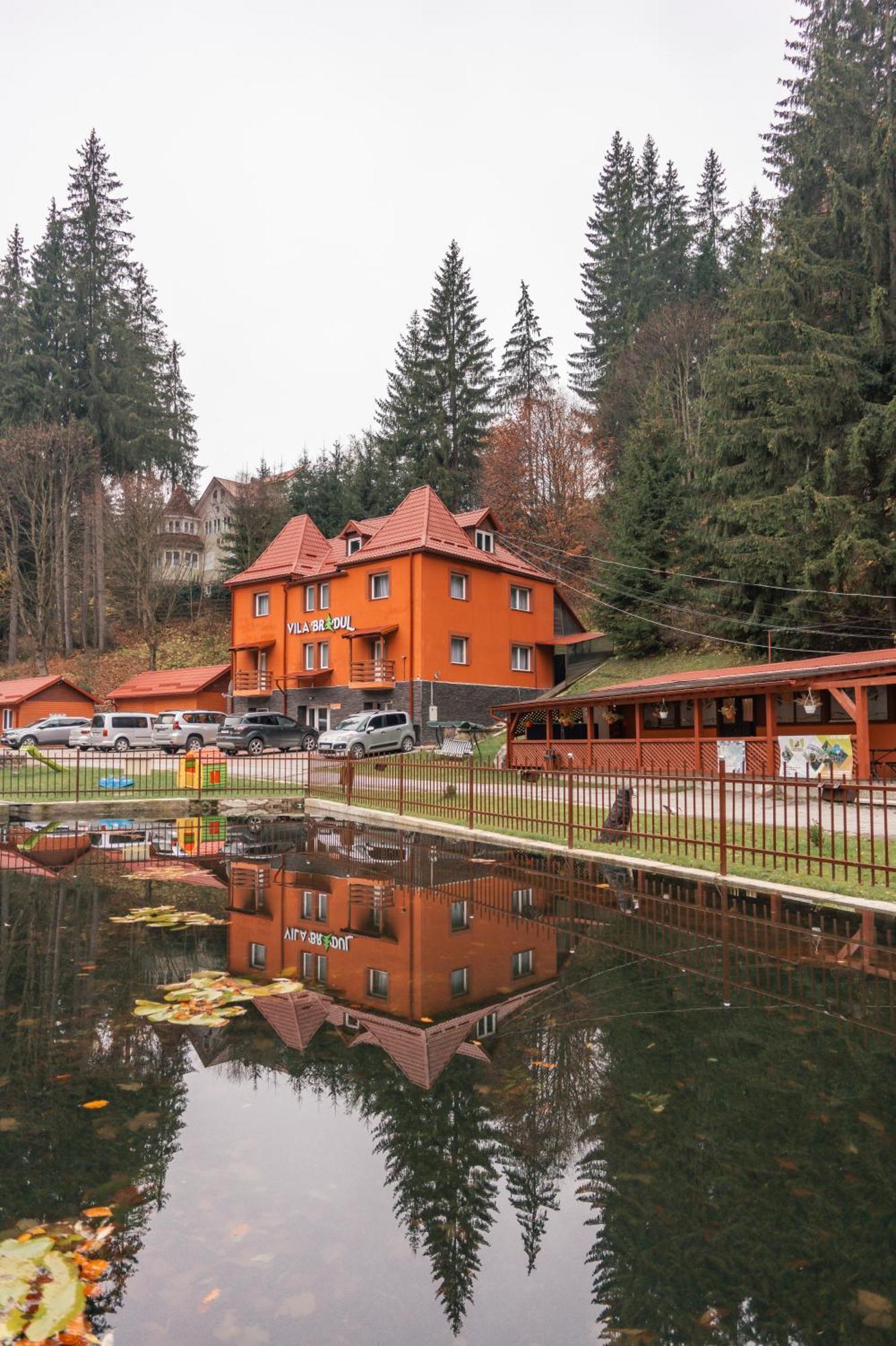 Vila Bradul Лаку Рошу Екстериор снимка