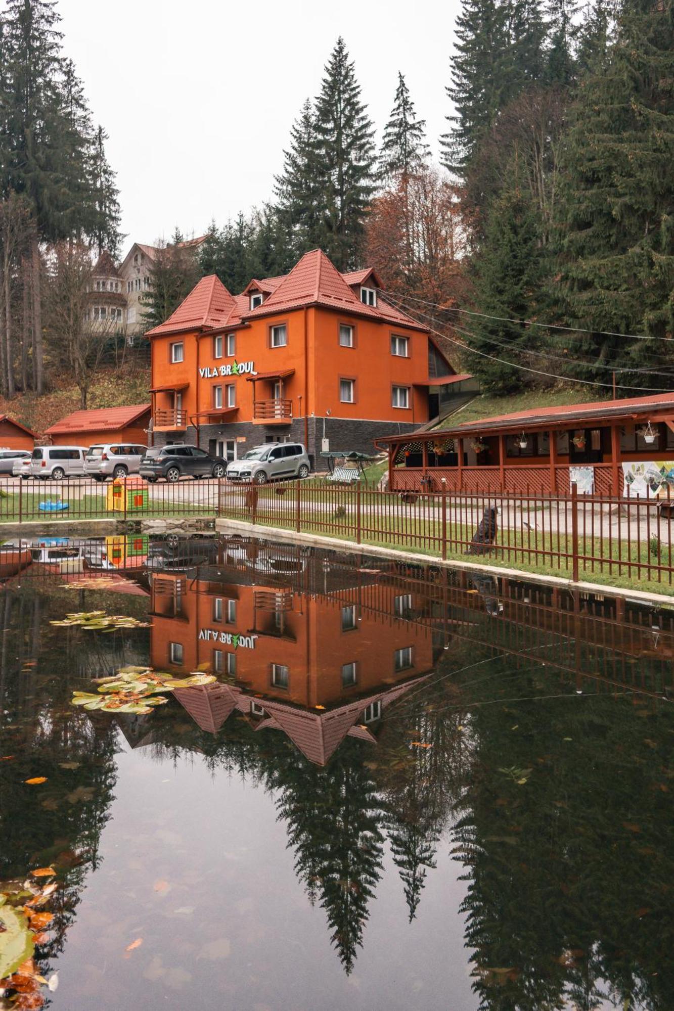 Vila Bradul Лаку Рошу Екстериор снимка