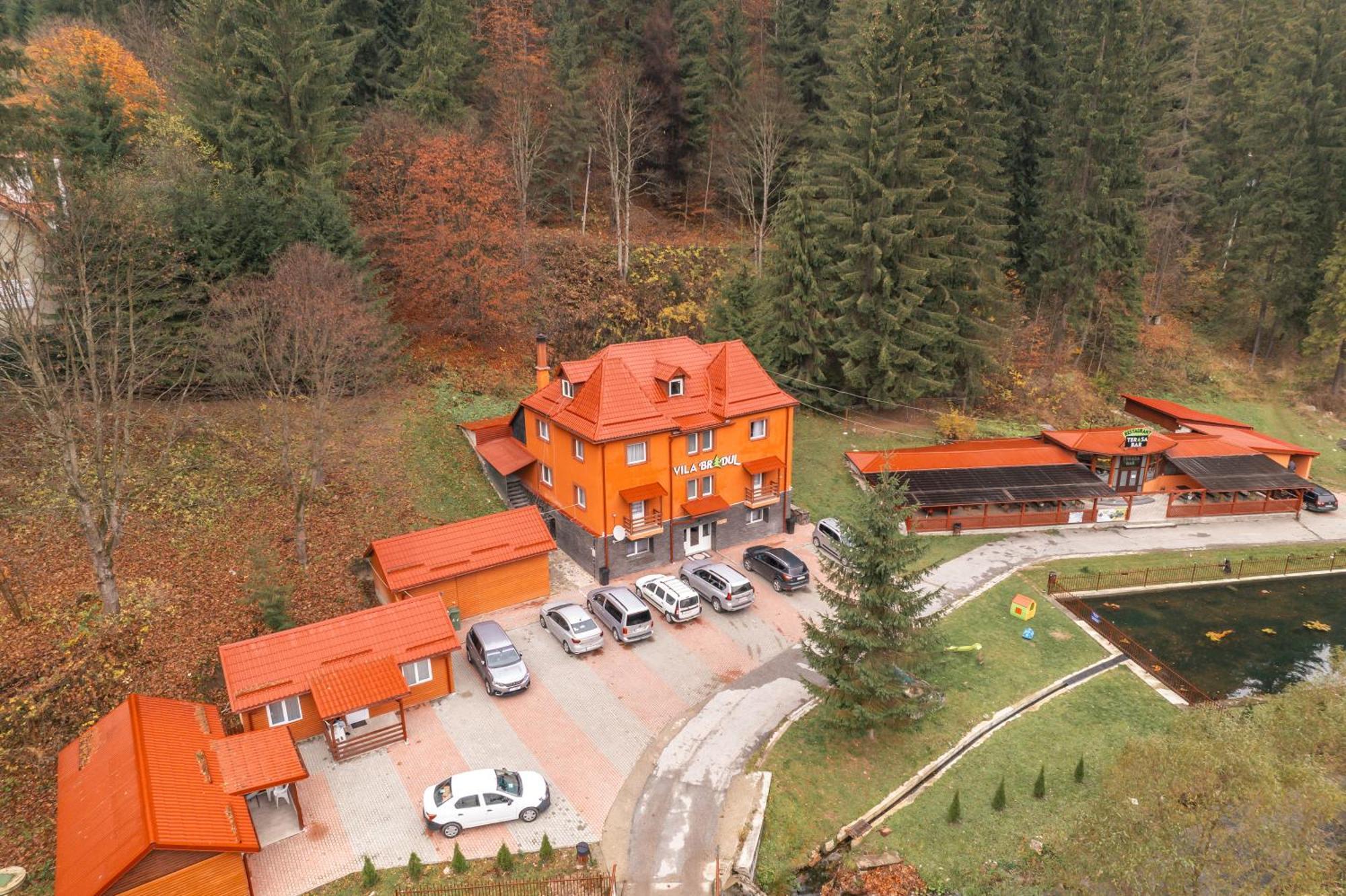 Vila Bradul Лаку Рошу Екстериор снимка